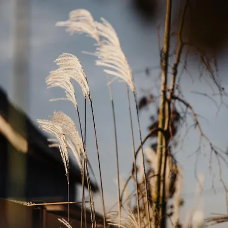 ヴィラ Na Kaszubach Z Jacuzzi I Sauna, Jezioro, Las, Kaszuby, Widokownia Bukowinki フミエルノ