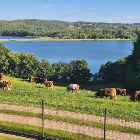 Na Kaszubach Z Jacuzzi I Sauna, Jezioro, Las, Kaszuby, Widokownia Bukowinki ヴィラ フミエルノ