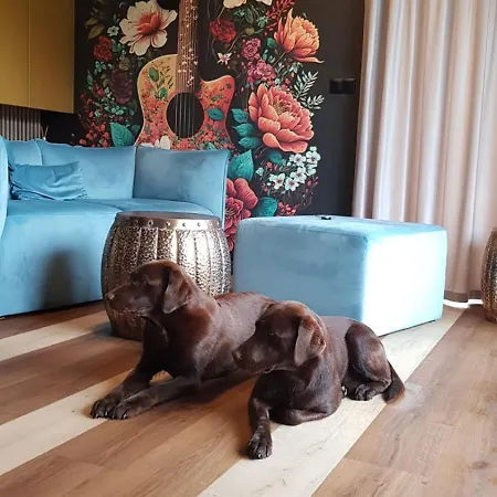 ヴィラ Na Kaszubach Z Jacuzzi I Sauna, Jezioro, Las, Kaszuby, Widokownia Bukowinki *