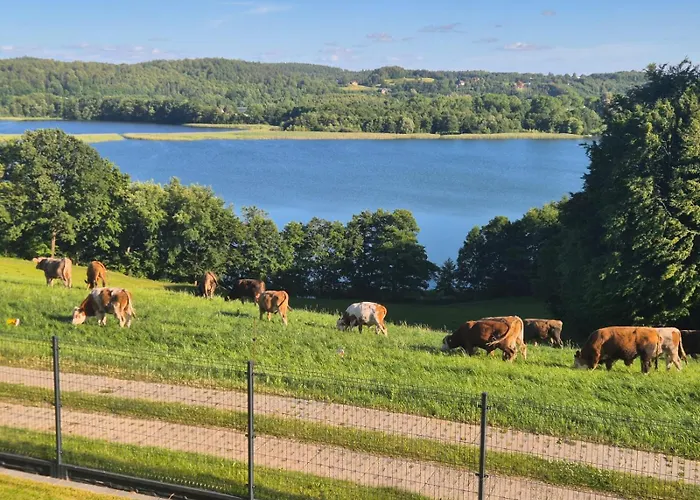 Na Kaszubach Z Jacuzzi I Sauna, Jezioro, Las, Kaszuby, Widokownia Bukowinki Villa Chmielno